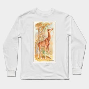 Giraffe (1890) Long Sleeve T-Shirt